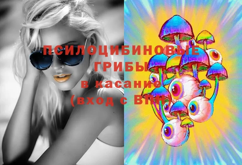 что такое   Красноармейск  Галлюциногенные грибы Magic Shrooms 